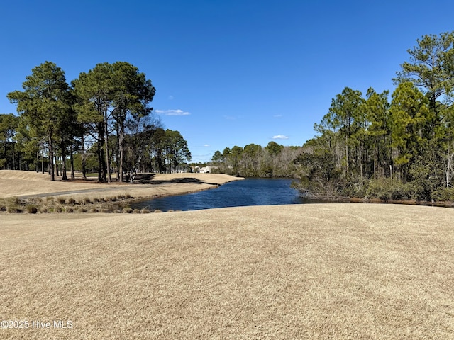 property view of water