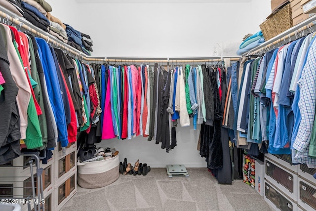 walk in closet featuring carpet flooring