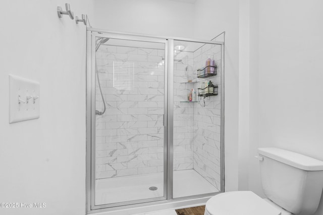 full bathroom featuring a shower stall and toilet