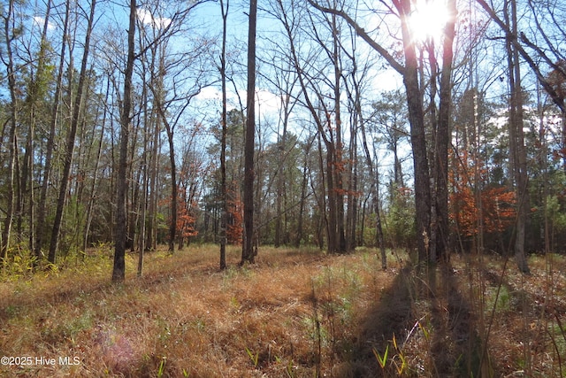 109 Winding Creek Drive 104And Slip 1, Oriental NC, 28571 land for sale