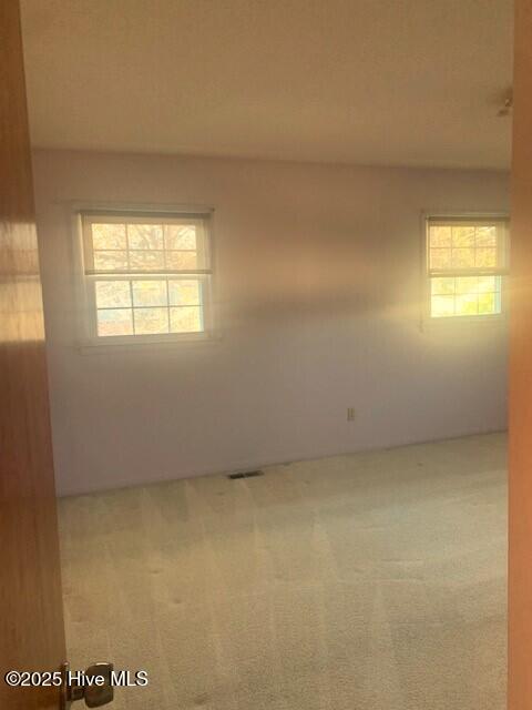 carpeted spare room with a healthy amount of sunlight