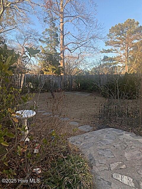 view of yard with a patio