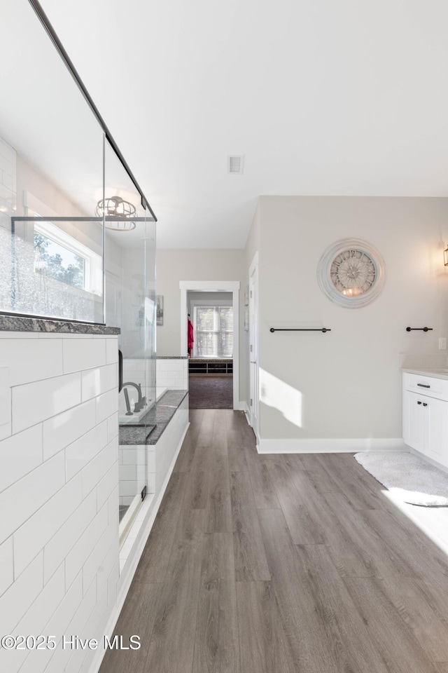 bathroom featuring hardwood / wood-style floors and plenty of natural light