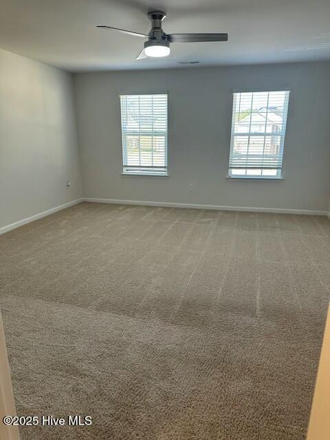 walk in closet with carpet flooring