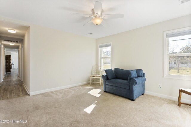 bedroom featuring ceiling fan, light wood-type flooring, and a closet