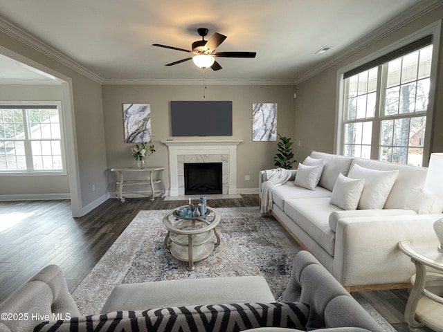 living room featuring ceiling fan, a fireplace, crown molding, and dark hardwood / wood-style floors