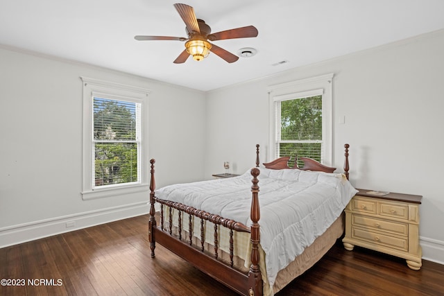bedroom featuring dark wood-type flooring, ornamental molding, and multiple windows