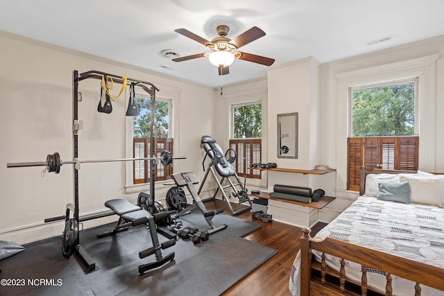 exercise area featuring ceiling fan, dark wood-type flooring, and crown molding