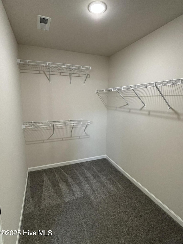 spacious closet with carpet flooring