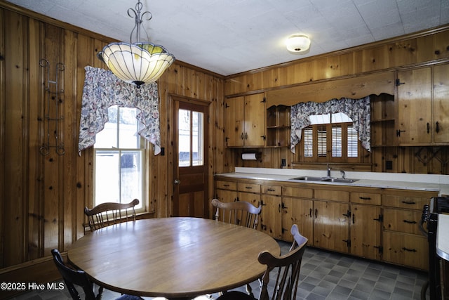 kitchen featuring decorative light fixtures, sink, wooden walls, ornamental molding, and range