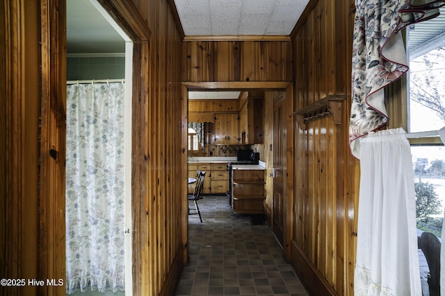 hall featuring a wealth of natural light, ornamental molding, and wood walls