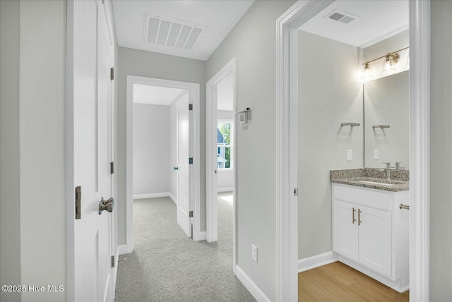 211 Lincoln Place Cir, Leland, NC 28451 - hall with a sink, baseboards, and light carpet