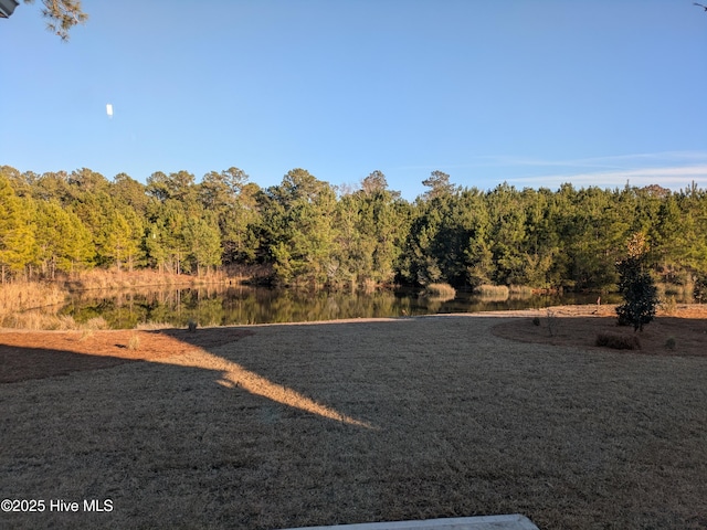 view of yard with a water view and a view of trees