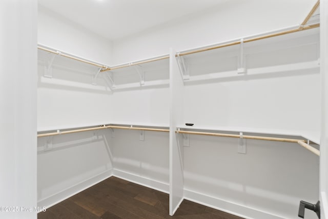 spacious closet featuring dark hardwood / wood-style floors