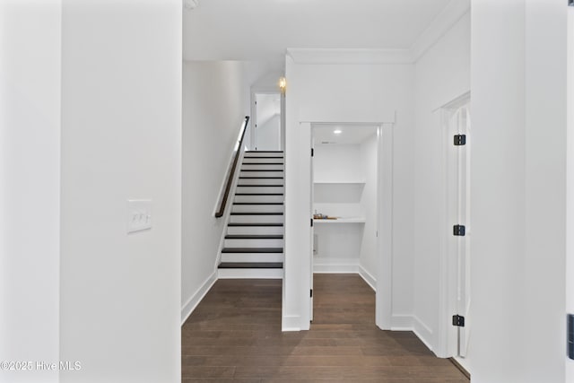 stairway with ornamental molding and wood-type flooring