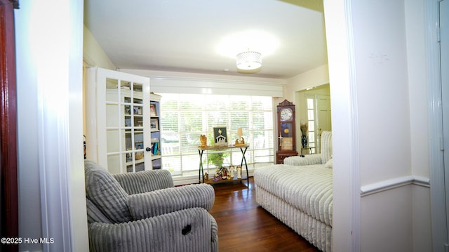 interior space featuring dark wood-type flooring