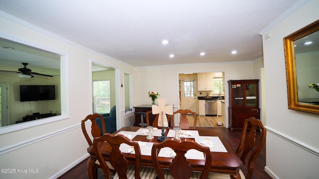 dining room with dark wood-type flooring, crown molding, and ceiling fan