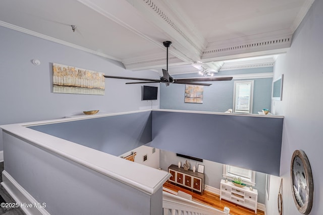 bedroom with ceiling fan, wood-type flooring, beamed ceiling, and crown molding