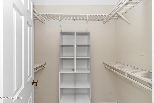 bedroom featuring a spacious closet, a closet, ornamental molding, light wood-type flooring, and ceiling fan