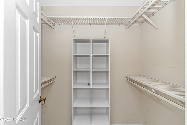 view of walk in closet