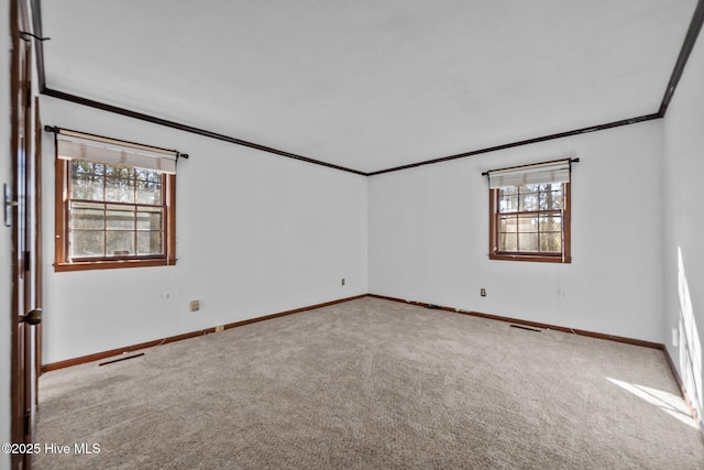 unfurnished room featuring light carpet, a wealth of natural light, and crown molding