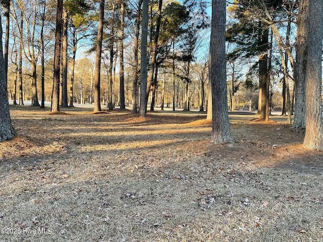 LOT47 Middleton Dr Unit 47, Hertford NC, 27944 land for sale