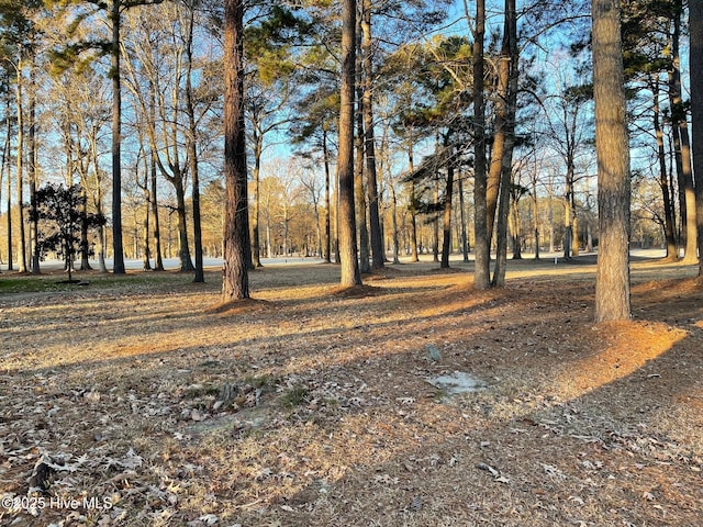 Listing photo 2 for LOT47 Middleton Dr Unit 47, Hertford NC 27944