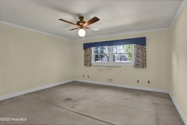 empty room featuring ceiling fan, carpet, and ornamental molding