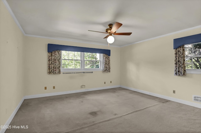 empty room featuring ceiling fan, ornamental molding, and carpet