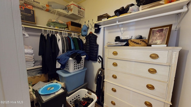 view of walk in closet