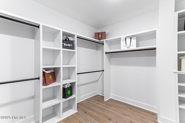 spacious closet featuring hardwood / wood-style flooring