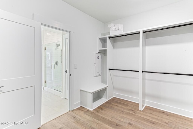 walk in closet with wood-type flooring