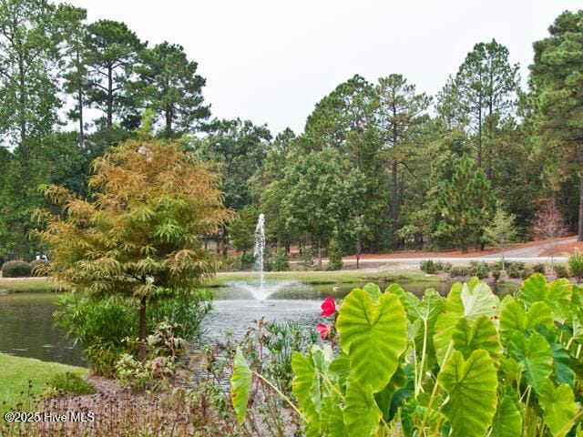 surrounding community with a water view