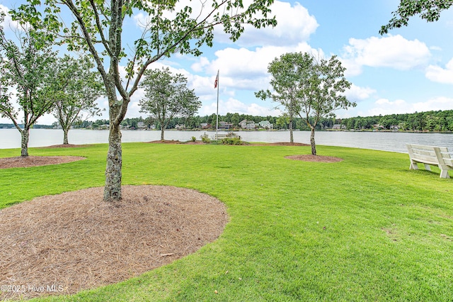 view of yard featuring a water view