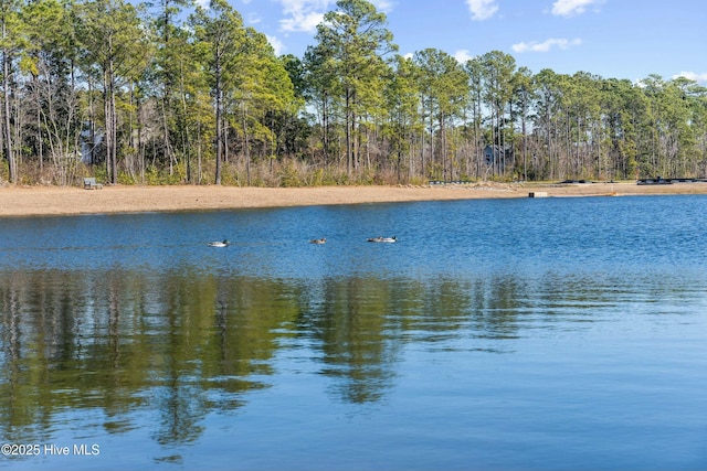 view of water feature