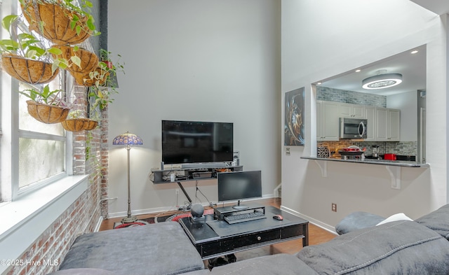 living room featuring light hardwood / wood-style flooring