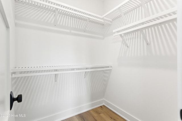 spacious closet featuring hardwood / wood-style flooring