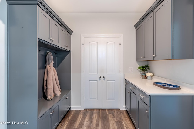 mudroom featuring dark hardwood / wood-style floors