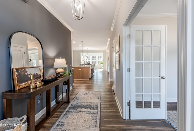 corridor featuring sink, crown molding, and dark hardwood / wood-style flooring