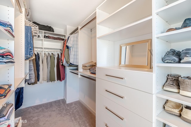 spacious closet featuring carpet floors