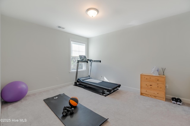 workout area with carpet flooring