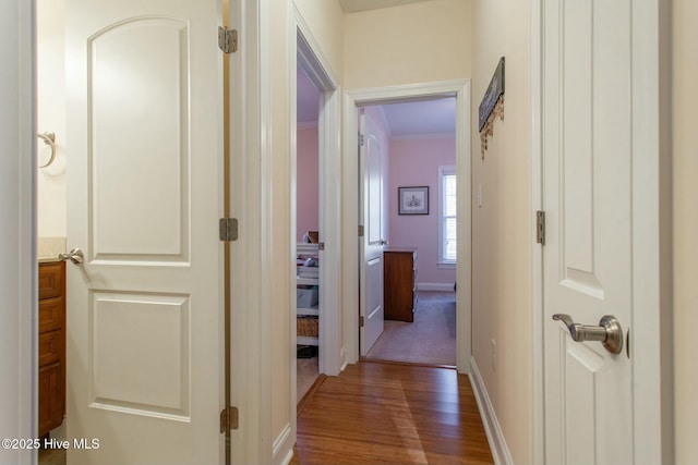 hall with dark hardwood / wood-style flooring and crown molding