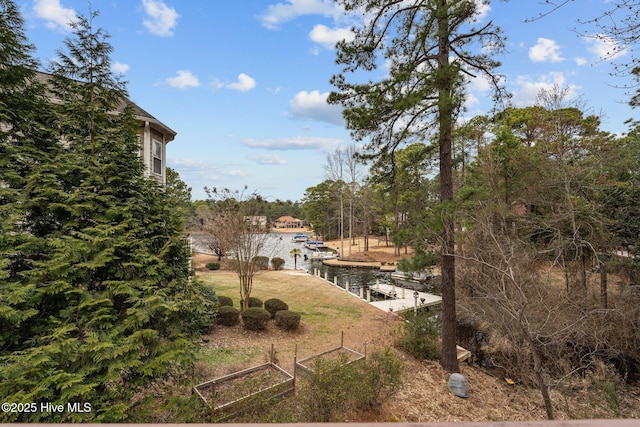 view of yard featuring a dock and a water view