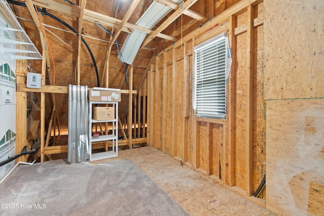 miscellaneous room featuring vaulted ceiling