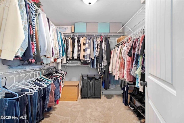 walk in closet with light colored carpet