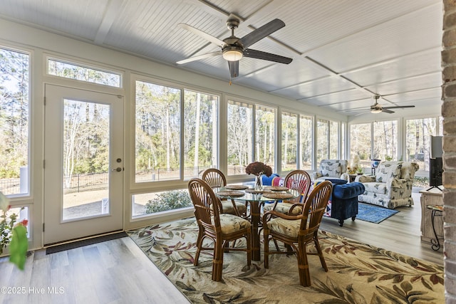 sunroom with ceiling fan