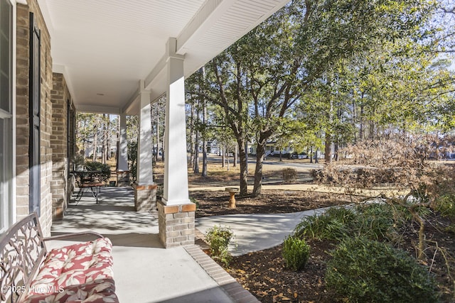 view of patio / terrace with a porch