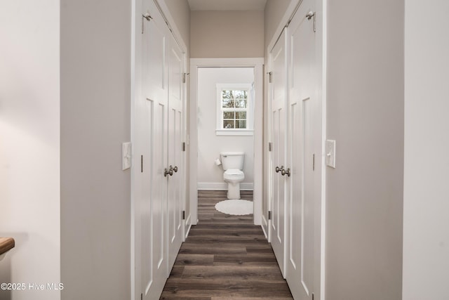 hallway with dark wood-type flooring