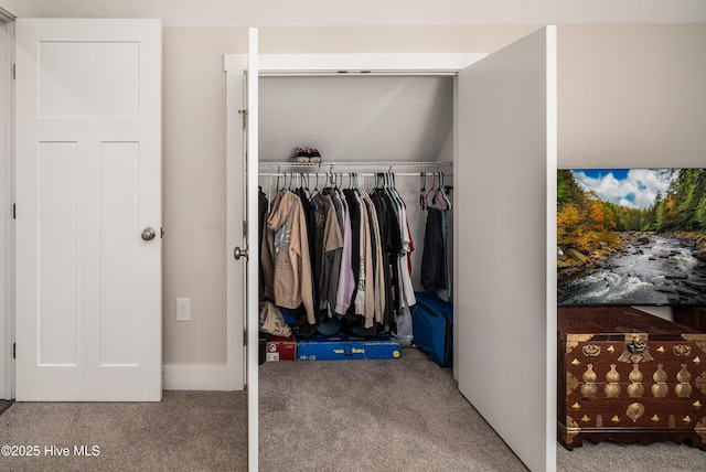 view of closet