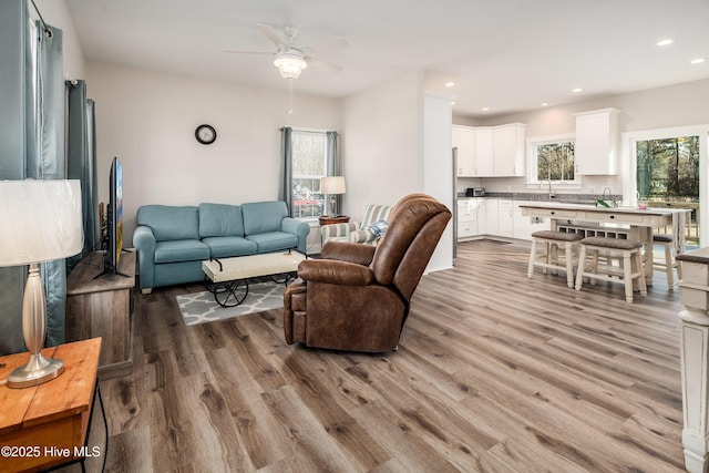 living room with ceiling fan, plenty of natural light, sink, and light wood-type flooring